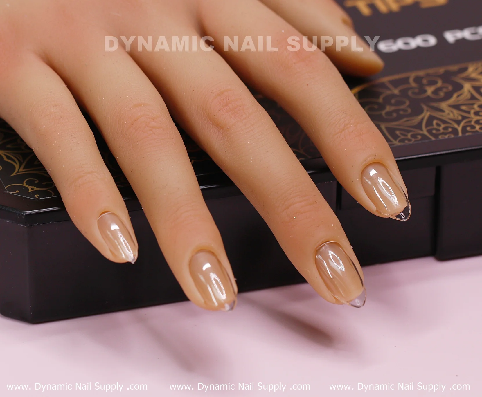 Thumbnail 12